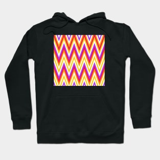 Purple & Orange Stripes Hoodie